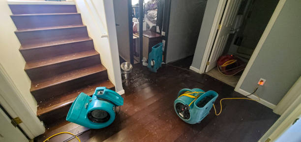 Best Flooded house restoration  in Coronado, CA