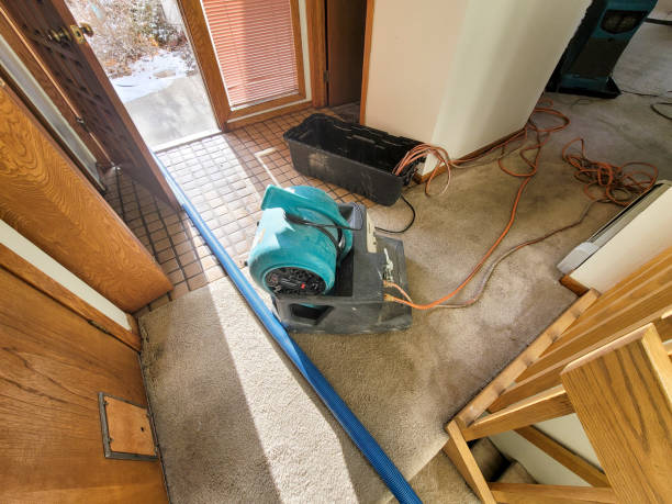 Best Water damage cleanup near me  in Coronado, CA