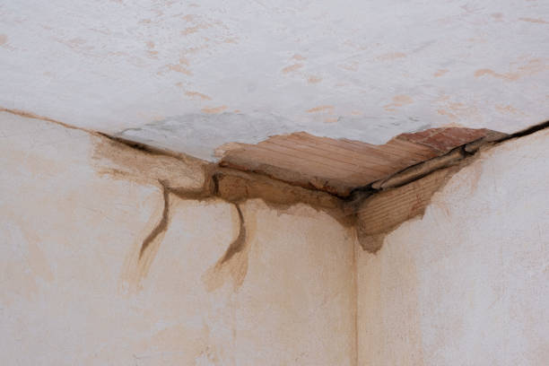 Best Mold removal after water damage  in Coronado, CA