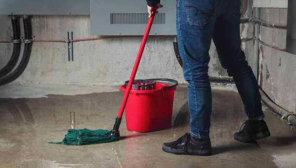 Best Water damage restoration mold remediation  in Coronado, CA