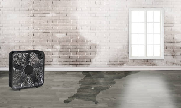 Best Water damage restoration services  in Coronado, CA