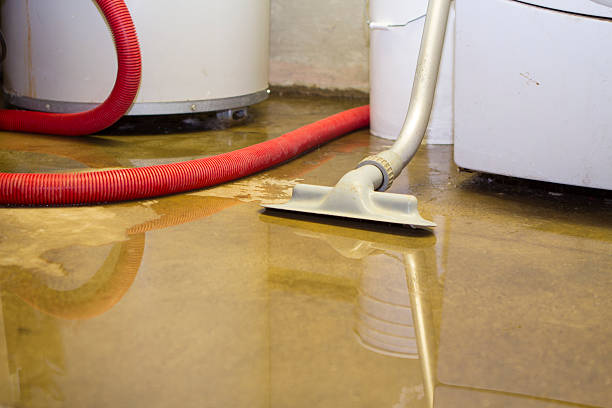 Best Flood damage cleanup  in Coronado, CA